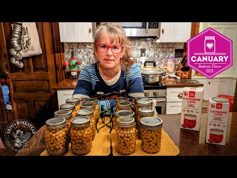 Видео: Нут, готовый к хумусу | Можно с собой - CANUARY