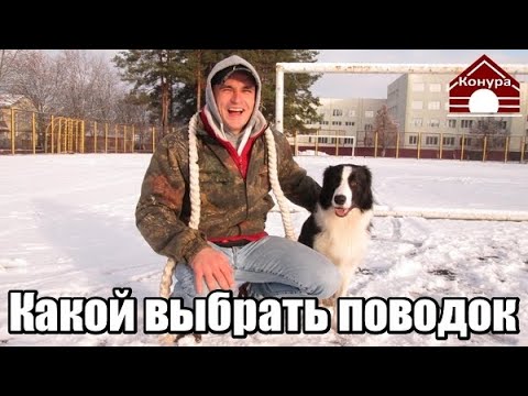 Видео: 188. Поводок, как правильно работать поводком, какой выбрать поводок