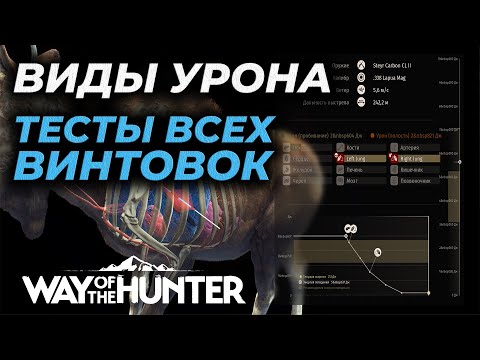 Видео: [ГАЙД] ВЫБОР ПАТРОНОВ, ВИДЫ УРОНА, ТЕСТЫ ВСЕХ ВИНТОВОК 🎮 Way of the Hunter