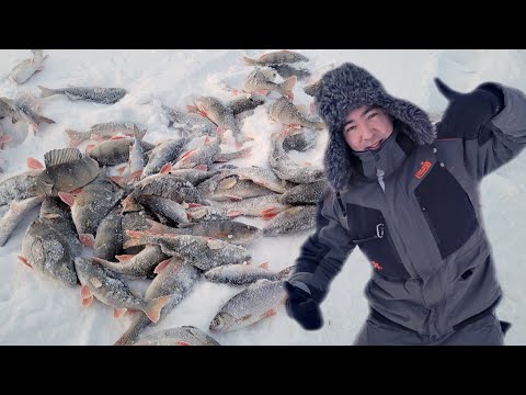 Видео: ВОТ ЭТО КЛЁВ!!!! НАСТОЯЩАЯ РЫБАЛКА КРАЙНЕГО СЕВЕРА