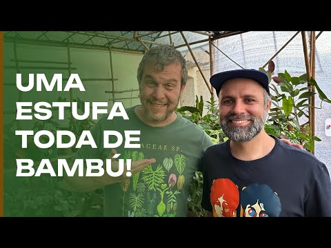 Видео: Теплица, не похожая ни на одну из тех, что вы видели: всё из бамбука.