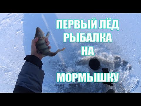 Видео: Рыбалка на мормышку, зимой! Первый лед в период глухозимья!