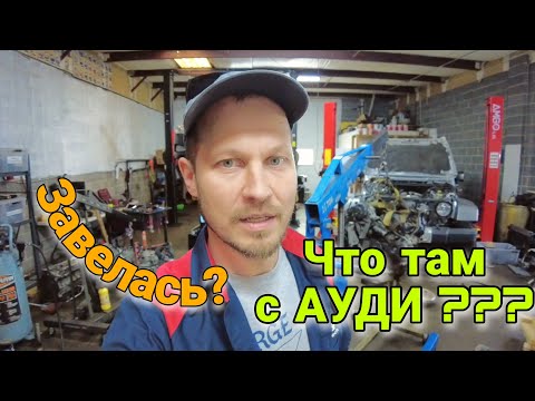 Видео: Проект Ауди А8 за $3000 / Что с ней? Завелась?