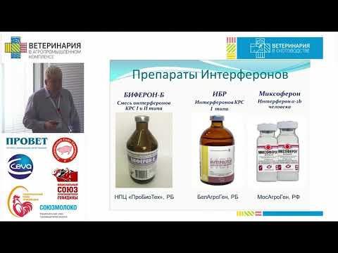 Видео: АЯНОТ П. К. Современные подходы к получению здорового молодняка