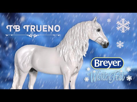 Видео: TB Trueno - модель с нового фестиваля от Breyer! ❄️