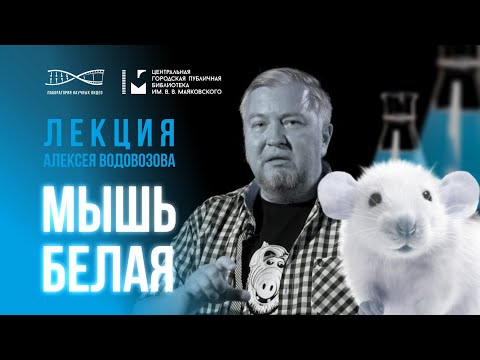 Видео: Мышь белая. Лекция Алексея Водовозова