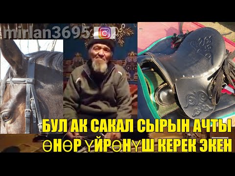 Видео: ЖАЛАЛАБАД Ат Жабдыктары ДҮЙНӨГӨ Таанылган АКСАКАЛ