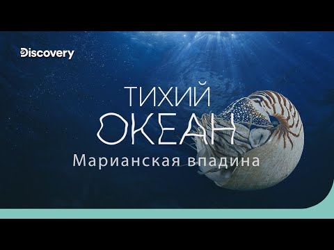 Видео: Тихий океан: Марианская впадина | На дне океана | Discovery