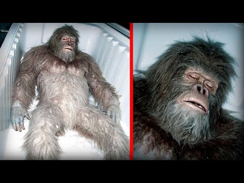 Видео: Вот что нашли под растопленым ледником, ЭТО шокировало весь мир…