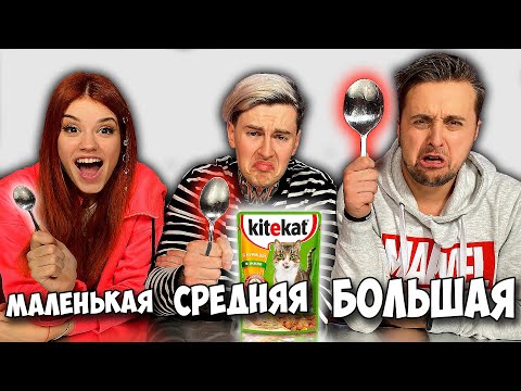 Видео: МАЛЕНЬКАЯ, СРЕДНЯЯ или БОЛЬШАЯ ЛОЖКА ЧЕЛЛЕНДЖ !