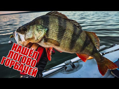 Видео: Рыбалка на большой воде | Попал на раздачу крупного окуня | Ловля судака и окуня на водохранилище