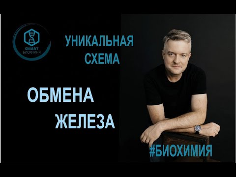 Видео: Биохимия: Обмен железа