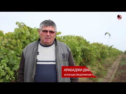 Видео: Как отпугивать птиц с виноградника? Акустические и визуальные отпугиватели от производителя