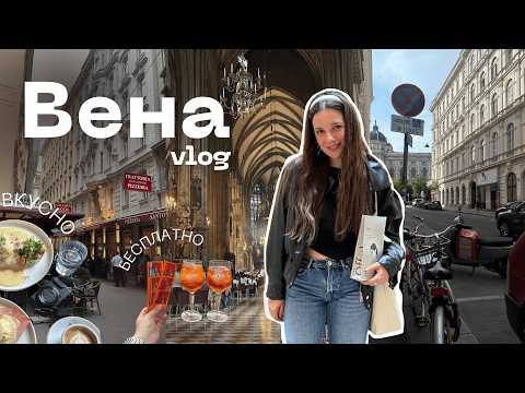 Видео: За что любят Вену?