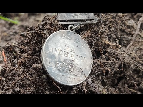 Видео: Нашли Медаль за Отвагу. Имена. Этот год запомним на долго. Простите, что пришли поздно.