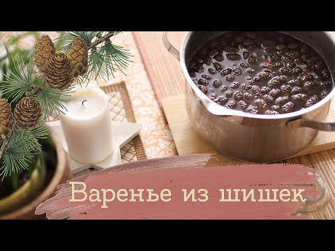 Видео: Попробовала сварить варенье из сосновых шишек | Masherisha