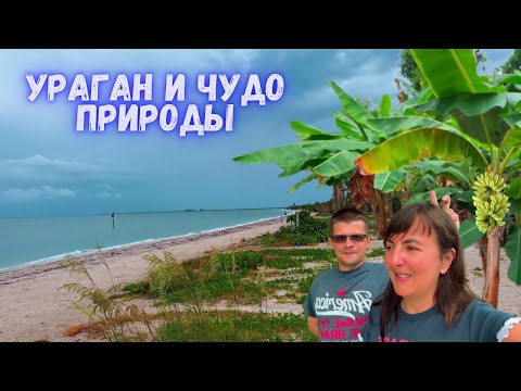 Видео: Накрыл Ураган. Путешествие на остров с палаткой. Банановая роща, звери, птицы в парке.  Vlog