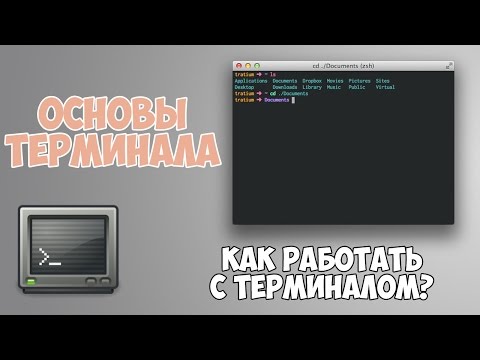 Видео: Основы работы с терминалом за 20 минут!