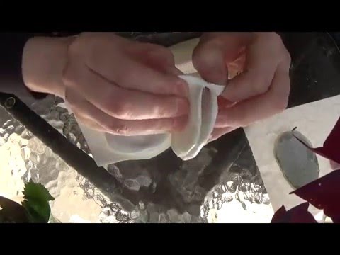 Видео: Молд ОРХИДЕИ часть 2. МК от Риты  Mold ORCHIDS part 2. MK from Rita