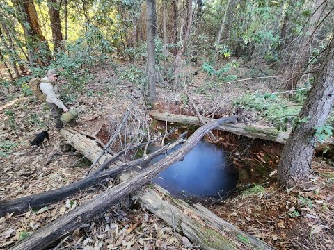 Видео: Неожиданно богатая область разведки месторождений