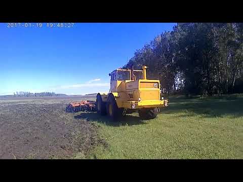 Видео: К-701 обработка поля БДТ-7