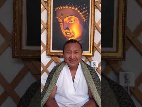 Видео: ЛУСЫН ЗАСАЛ ГЭЖ ЮҮ ВЭ