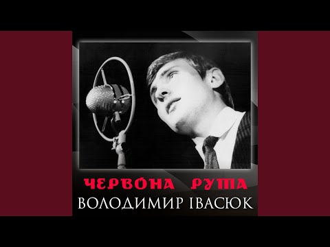 Видео: Червона рута