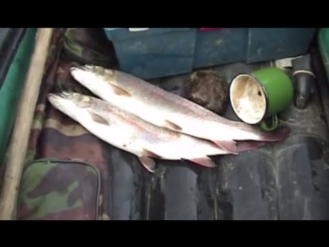 Видео: Абаканский спиннинг. Даже в городской черте