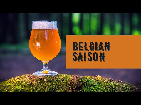 Видео: Варка домашнего пива в кастрюле | Belgian Saison |