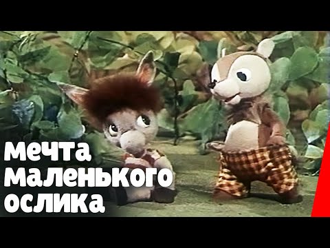 Видео: Мечта маленького ослика (1984) мультфильм