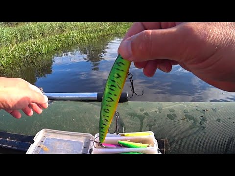 Видео: Твичинг воблеров в конце августа! Рыбалка на спиннинг!