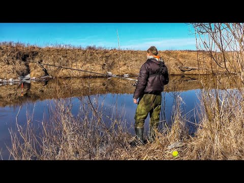 Видео: ОТКРЫЛ СЕЗОН 2025 НА ПОПЛАВОК! ЗАЛЕЗ В КУСТЫ ,ГДЕ КЛЮЕТ РЫБА)