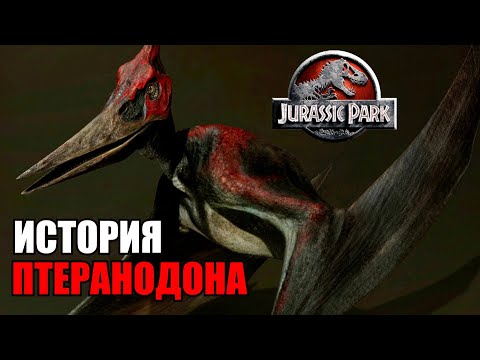 Видео: ИСТОРИЯ ПТЕРАНОДОНА ИЗ ФРАНШИЗЫ ПАРКА/МИРА ЮРСКОГО ПЕРИОДА