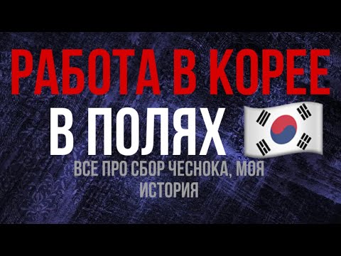Видео: РАБОТА В КОРЕЕ 🇰🇷 РАБОТА В ПОЛЯХ. МОЙ ОПЫТ