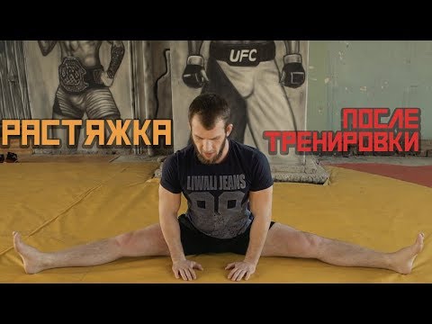 Видео: Шпагат за 1 месяц. Растяжка После Тренировки.