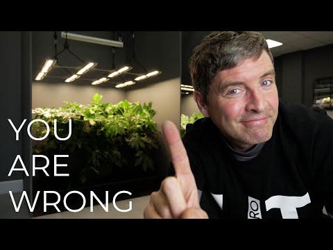 Видео: Проникновение света в растения — это НЕПРАВИЛЬНО