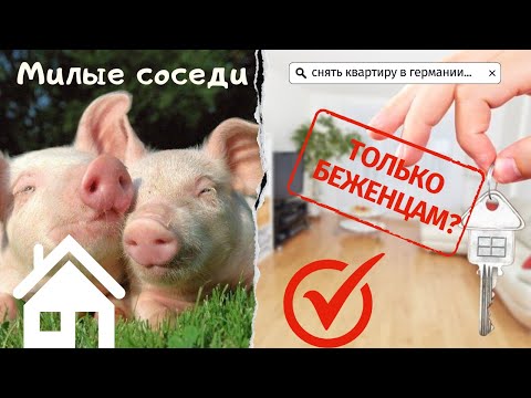 Видео: Vlog🇩🇪| Все «ПРЕЛЕСТИ» жизни в Хайме | Почему так сложно найти квартиру в Германии?🇩🇪|