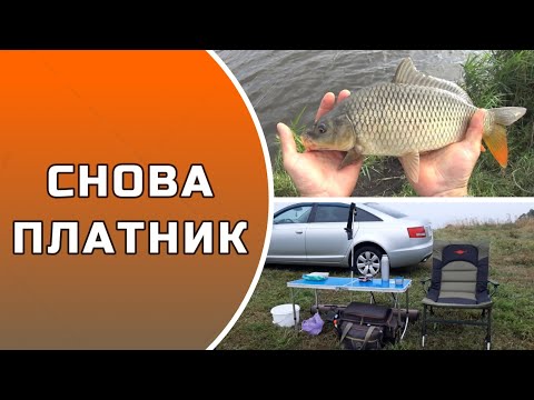 Видео: СНОВА ПЛАТНИК