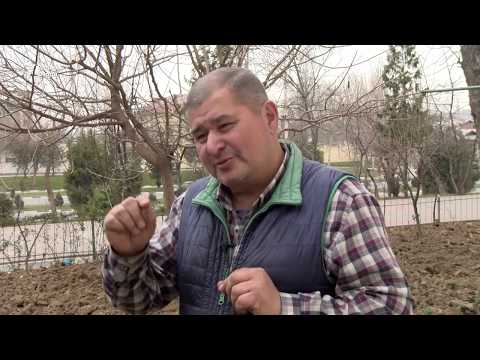 Видео: Суҳбат бо Зоиров. Аз обу хок то майдони сиёсат дар Тоҷикистон