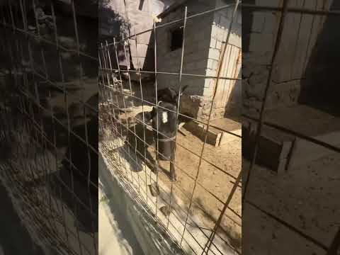 Видео: 28 октября 2025 г.