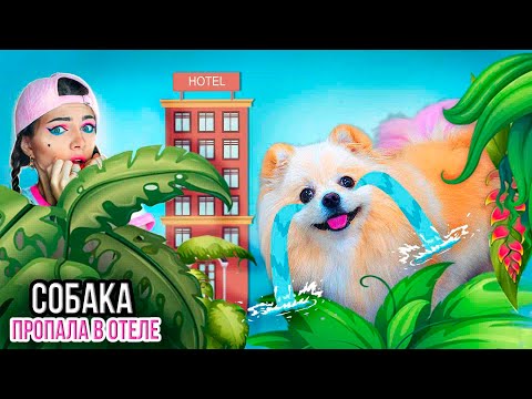 Видео: СОБАКА ПРОПАЛА в ОТЕЛЕ в ДЖУНГЛЯХ | Где ШПИЦ ЭЛИС ? ПИТОМЦЫ ПРОТИВ