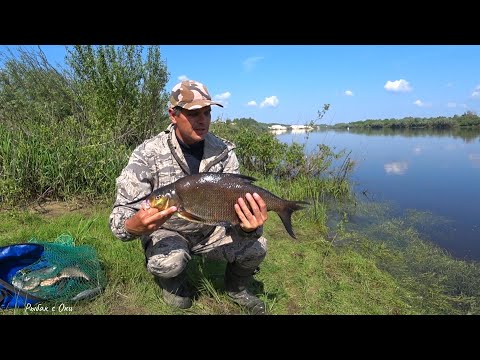 Видео: Рыбалка на сильном течение на ОКЕ 27 мая 2023! Ловится уже вся белая рыба!