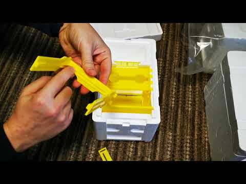 Видео: Нуклеус з Аліекспресс