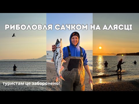 Видео: спимо на пляжі і риболовимо сачками #влог