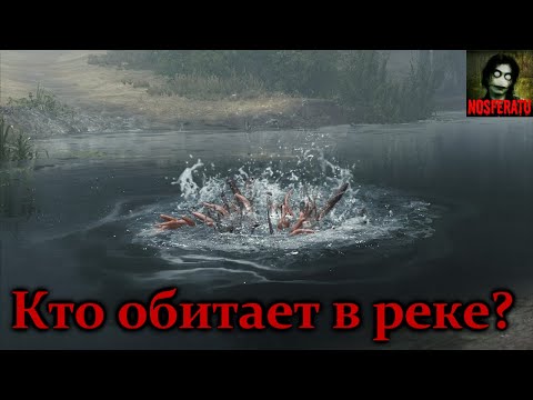 Видео: КТО ОБИТАЕТ В НАШЕЙ РЕКЕ? Страшные истории на ночь. Страшилки на ночь