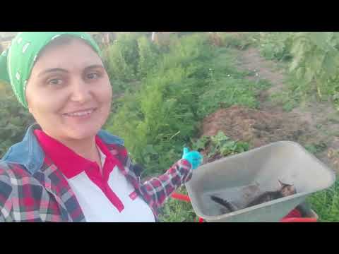 Видео: Ждали этого всё лето🌞🌴🏄🎇