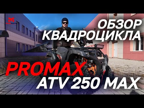 Видео: Полный ОБЗОР квадроцикла PROMAX ATV 250 MAX от мотосалона MAXMOTO🔥