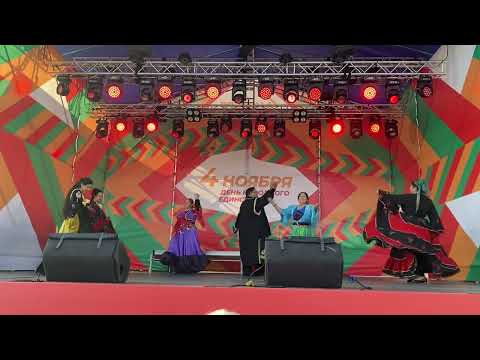 Видео: КРАСИВО ПОЁТ, в ДЕНЬ НАРОДНОГО ЕДИНСТВА во ВЛАДИВОСТОКЕ 