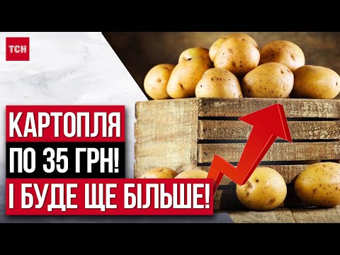 Видео: Картопля вже по 35 грн! Кажуть, що буде ще дорожчати!