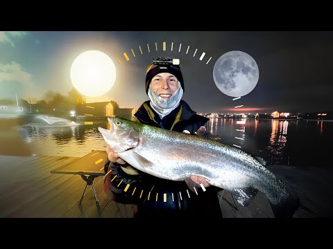 Видео: РЫБОЛОВНЫЙ МАРАФОН В ШИКАРНОМ МЕСТЕ! Сколько можно выдержать без сна на рыбалке?!